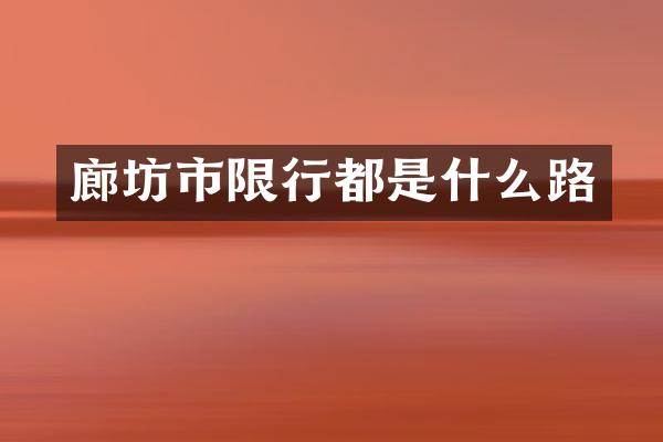 廊坊市限行都是什么路