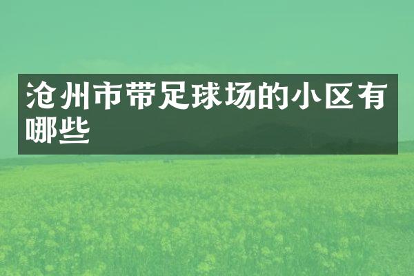 沧州市带足球场的小区有哪些
