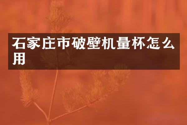 石家庄市破壁机量杯怎么用