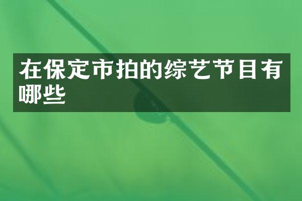 在保定市拍的综艺节目有哪些