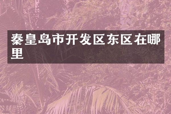 秦皇岛市开发区东区在哪里