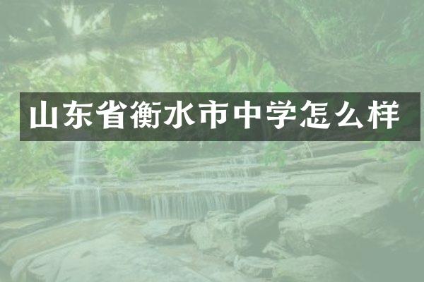 山东省衡水市中学怎么样