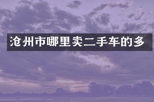 沧州市哪里卖二手车的多