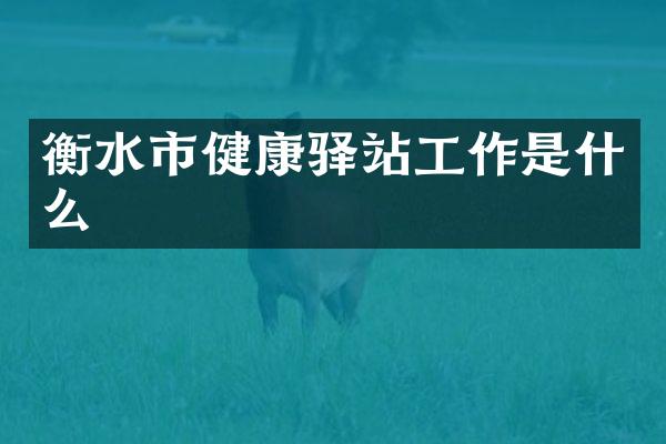 衡水市健康驿站工作是什么