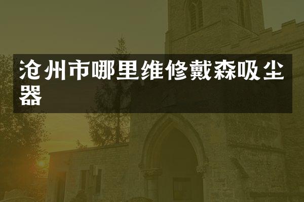 沧州市哪里维修戴森吸尘器