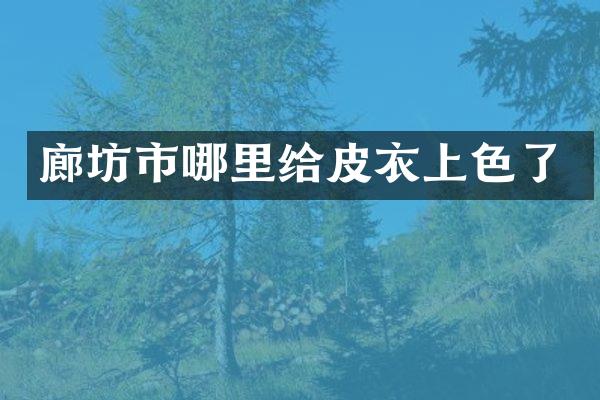 廊坊市哪里给皮衣上色了