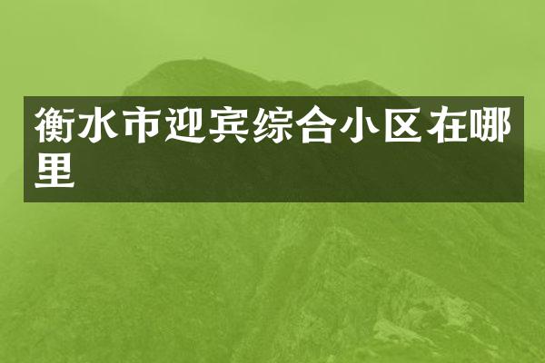 衡水市迎宾综合小区在哪里