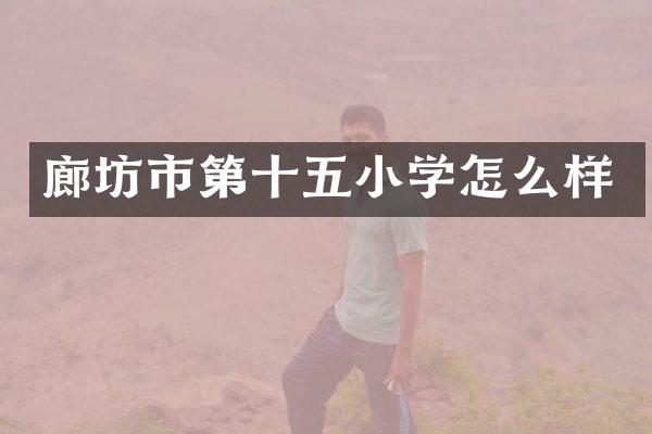 廊坊市第十五小学怎么样