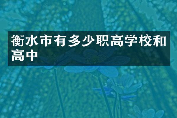 衡水市有多少职高学校和高中