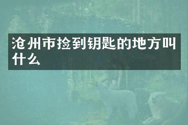 沧州市捡到钥匙的地方叫什么
