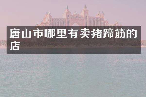 唐山市哪里有卖猪蹄筋的店