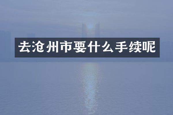 去沧州市要什么手续呢