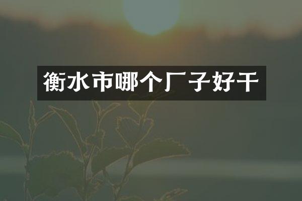 衡水市哪个厂子好干