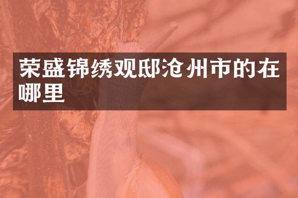 荣盛锦绣观邸沧州市的在哪里
