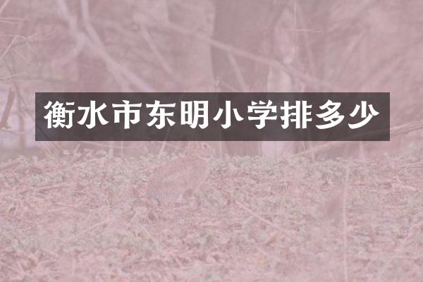 衡水市东明小学排多少