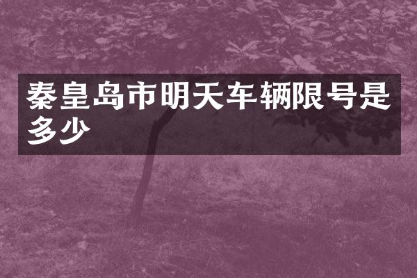 秦皇岛市明天车辆限号是多少