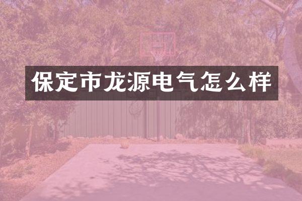 保定市龙源电气怎么样