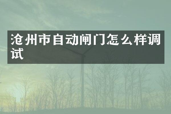 沧州市自动闸门怎么样调试