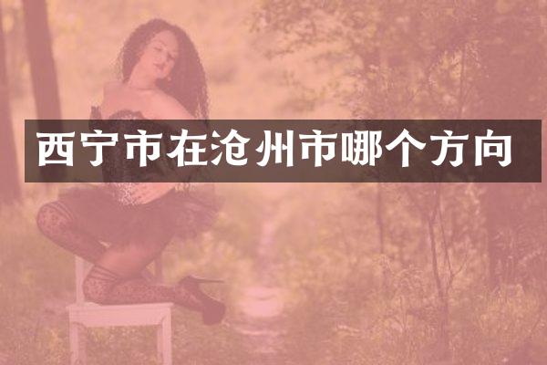 西宁市在沧州市哪个方向