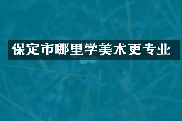 保定市哪里学美术更专业