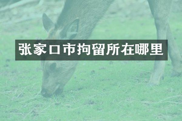 张家口市拘留所在哪里