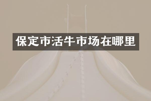保定市活牛市场在哪里