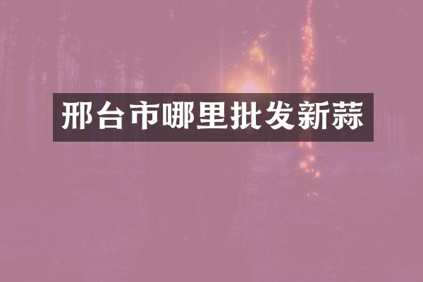 邢台市哪里批发新蒜
