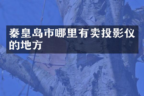 秦皇岛市哪里有卖投影仪的地方