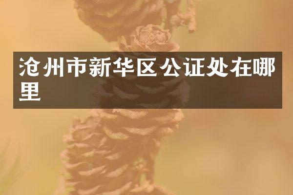 沧州市新华区公证处在哪里