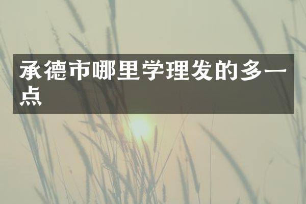 承德市哪里学理发的多一点