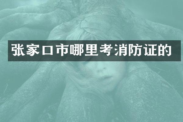 张家口市哪里考消防证的
