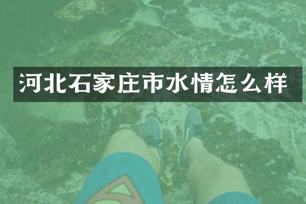 河北石家庄市水情怎么样