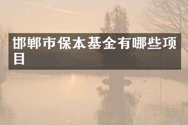 邯郸市保本基金有哪些项目