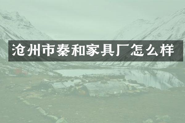 沧州市秦和家具厂怎么样