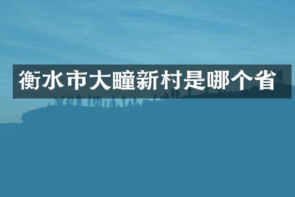 衡水市大疃新村是哪个省