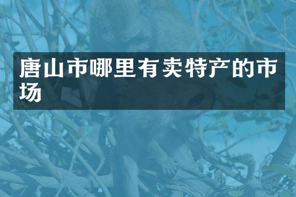 唐山市哪里有卖特产的市场