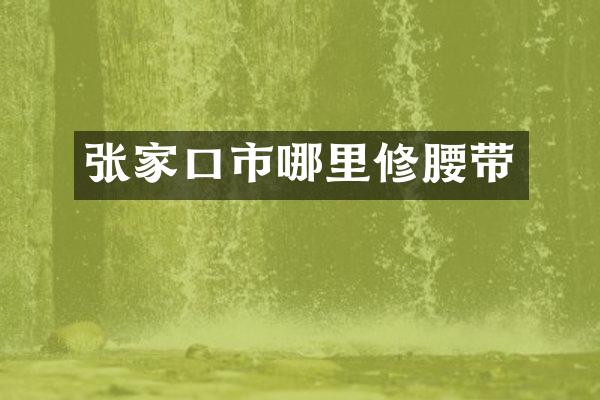 张家口市哪里修腰带