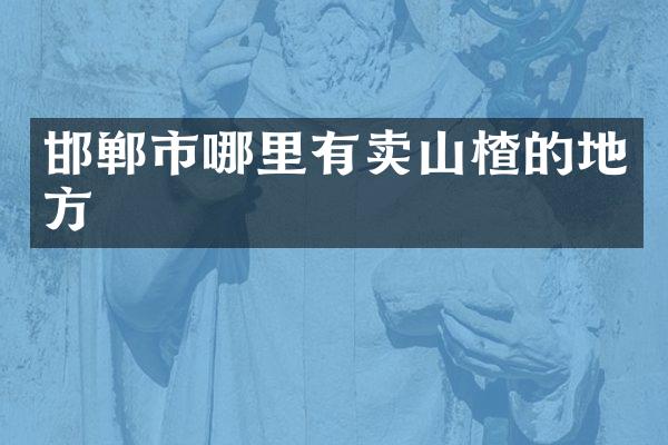 邯郸市哪里有卖山楂的地方