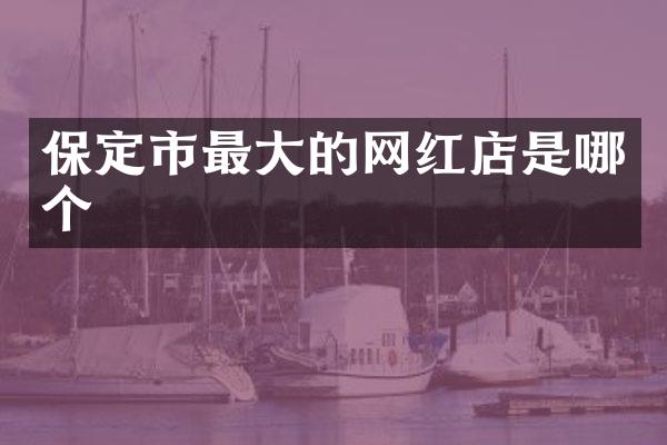 保定市最大的网红店是哪个