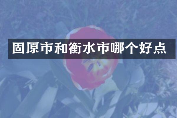 固原市和衡水市哪个好点