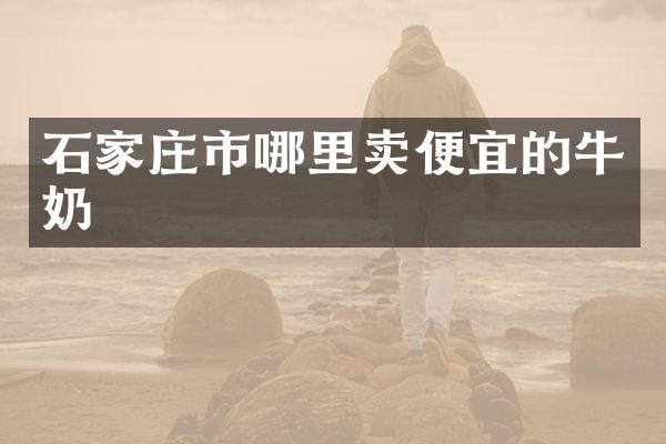 石家庄市哪里卖便宜的牛奶
