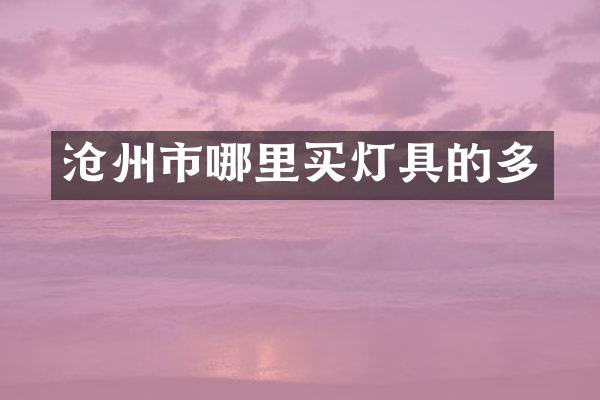 沧州市哪里买灯具的多