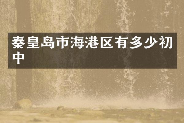 秦皇岛市海港区有多少初中