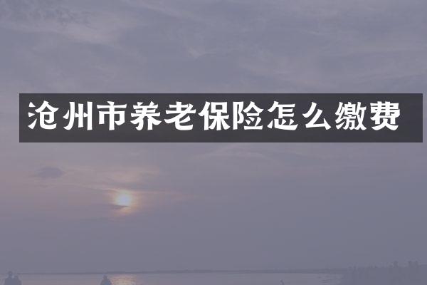 沧州市养老保险怎么缴费