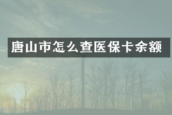 唐山市怎么查医保卡余额