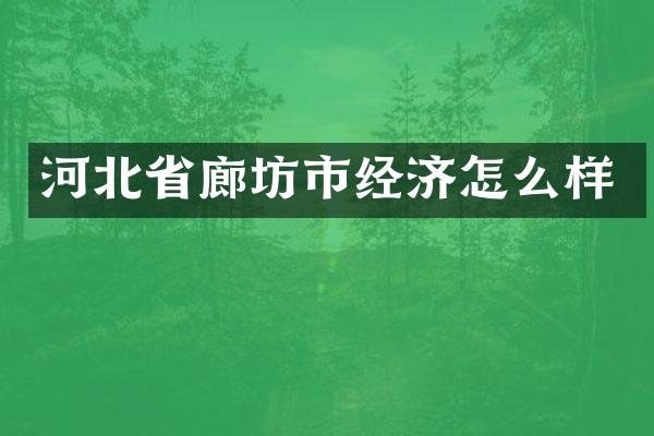 河北省廊坊市经济怎么样
