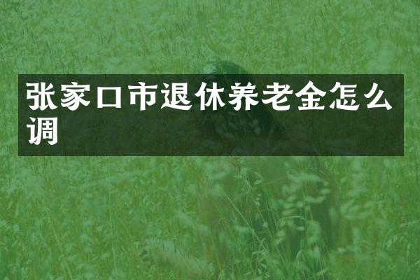 张家口市退休养老金怎么调