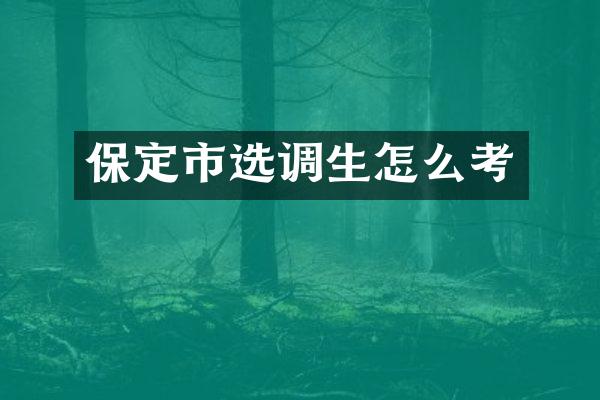 保定市选调生怎么考