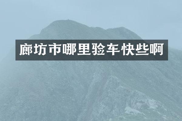 廊坊市哪里验车快些啊