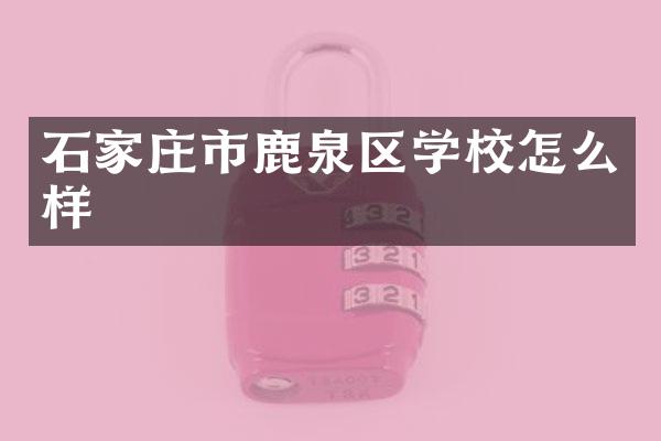 石家庄市鹿泉区学校怎么样